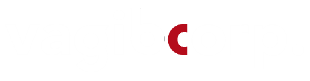 vagib logo